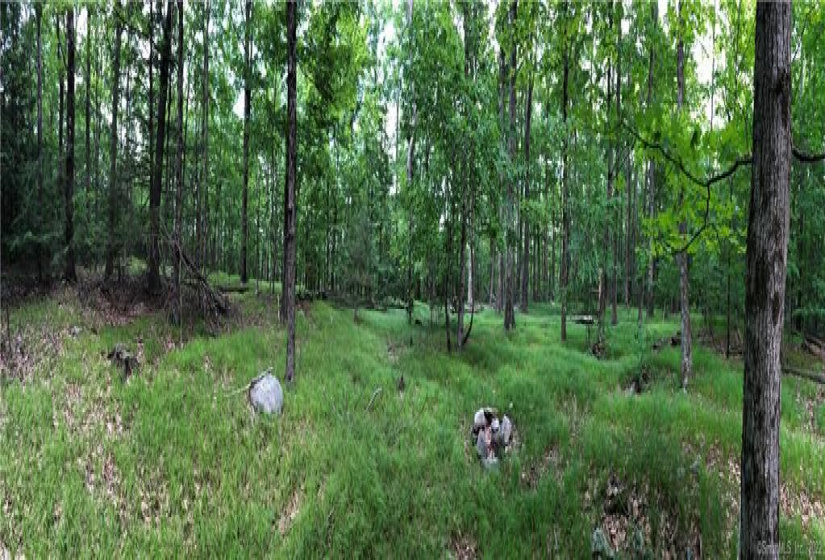 0000 Winsted-Norfolk Road, Winchester, Connecticut 06098, ,Lots And Land For Sale,For Sale,Winsted-Norfolk,170304263