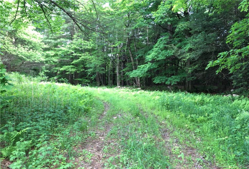 0000 Winsted-Norfolk Road, Winchester, Connecticut 06098, ,Lots And Land For Sale,For Sale,Winsted-Norfolk,170304263