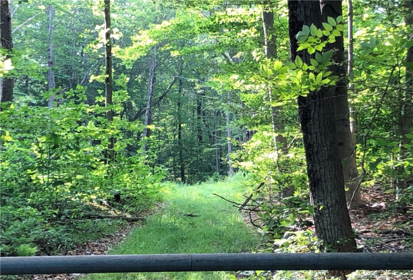 0000 Winsted-Norfolk Road, Winchester, Connecticut 06098, ,Lots And Land For Sale,For Sale,Winsted-Norfolk,170304263