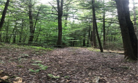0000 Winsted-Norfolk Road, Colebrook, Connecticut 06021, ,Lots And Land For Sale,For Sale,Winsted-Norfolk,170304367