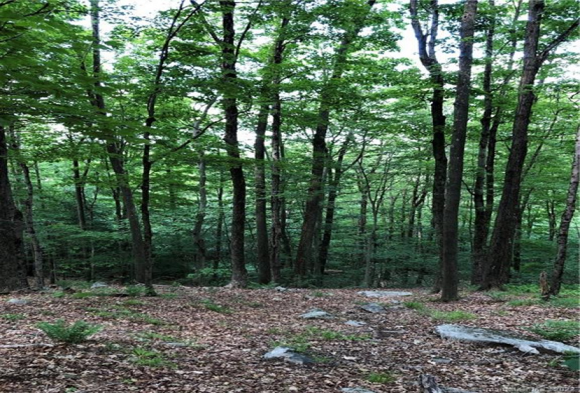 0000 Winsted-Norfolk Road, Colebrook, Connecticut 06021, ,Lots And Land For Sale,For Sale,Winsted-Norfolk,170304367