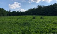 0000 Winsted-Norfolk Road, Colebrook, Connecticut 06021, ,Lots And Land For Sale,For Sale,Winsted-Norfolk,170304367