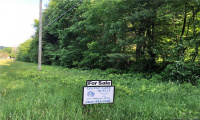 0000 Winsted-Norfolk Road, Colebrook, Connecticut 06021, ,Lots And Land For Sale,For Sale,Winsted-Norfolk,170304367