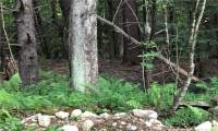 0000 Winsted-Norfolk Road, Colebrook, Connecticut 06021, ,Lots And Land For Sale,For Sale,Winsted-Norfolk,170304367