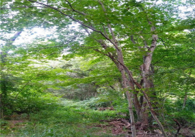 240 Foster Road, South Windsor, Connecticut 06074, ,Lots And Land For Sale,For Sale,Foster,170441170
