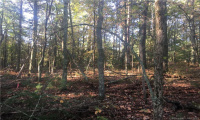 424 BEACH POND RD., Voluntown, Connecticut 06384, ,Lots And Land For Sale,For Sale,BEACH POND RD.,170479857