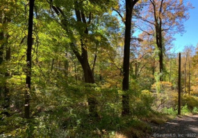 00 Booth Road, Roxbury, Connecticut 06783, ,Lots And Land For Sale,For Sale,Booth,170446031