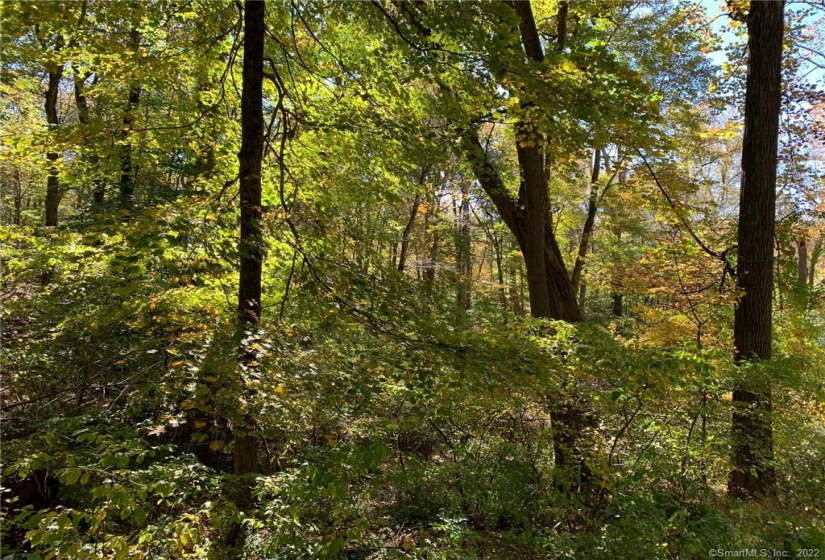 00 Booth Road, Roxbury, Connecticut 06783, ,Lots And Land For Sale,For Sale,Booth,170446031