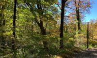 00 Booth Road, Roxbury, Connecticut 06783, ,Lots And Land For Sale,For Sale,Booth,170446031