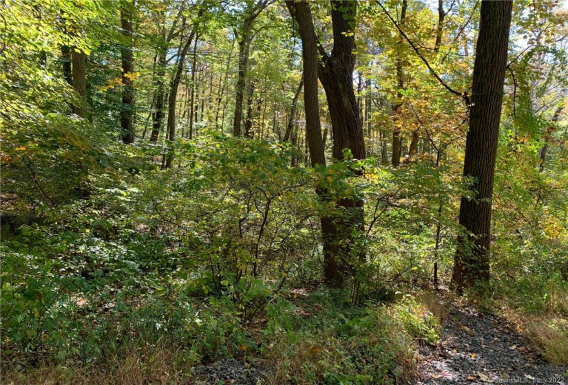 00 Booth Road, Roxbury, Connecticut 06783, ,Lots And Land For Sale,For Sale,Booth,170446031