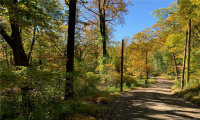 00 Booth Road, Roxbury, Connecticut 06783, ,Lots And Land For Sale,For Sale,Booth,170446031