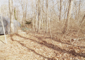 1H Sylvan Terrace, Deep River, Connecticut 06417, ,Lots And Land For Sale,For Sale,Sylvan,170472001