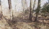 1H Sylvan Terrace, Deep River, Connecticut 06417, ,Lots And Land For Sale,For Sale,Sylvan,170472001