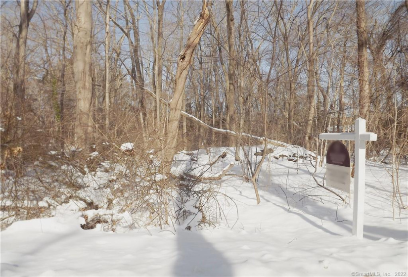 1H Sylvan Terrace, Deep River, Connecticut 06417, ,Lots And Land For Sale,For Sale,Sylvan,170472001