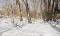 1H Sylvan Terrace, Deep River, Connecticut 06417, ,Lots And Land For Sale,For Sale,Sylvan,170472001