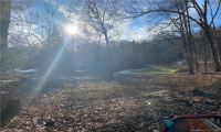 157 Nettleton Hollow Road, Washington, Connecticut 06793, ,Lots And Land For Sale,For Sale,Nettleton Hollow,170368345