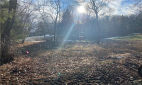 157 Nettleton Hollow Road, Washington, Connecticut 06793, ,Lots And Land For Sale,For Sale,Nettleton Hollow,170368345