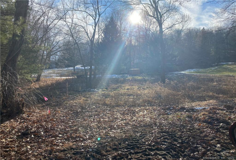 157 Nettleton Hollow Road, Washington, Connecticut 06793, ,Lots And Land For Sale,For Sale,Nettleton Hollow,170368345