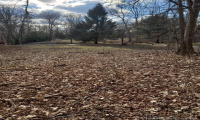 157 Nettleton Hollow Road, Washington, Connecticut 06793, ,Lots And Land For Sale,For Sale,Nettleton Hollow,170368345