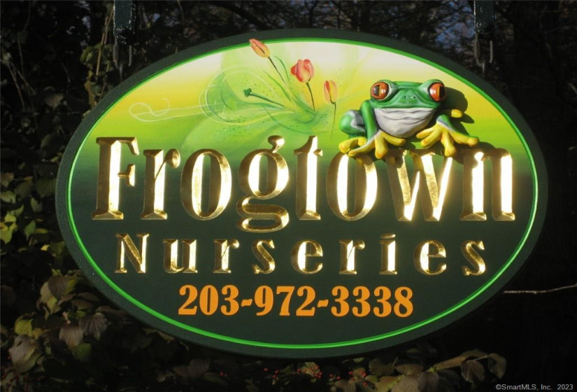 259 Frogtown Road, New Canaan, Connecticut 06840, ,Commercial For Sale,For Sale,Frogtown,170553192