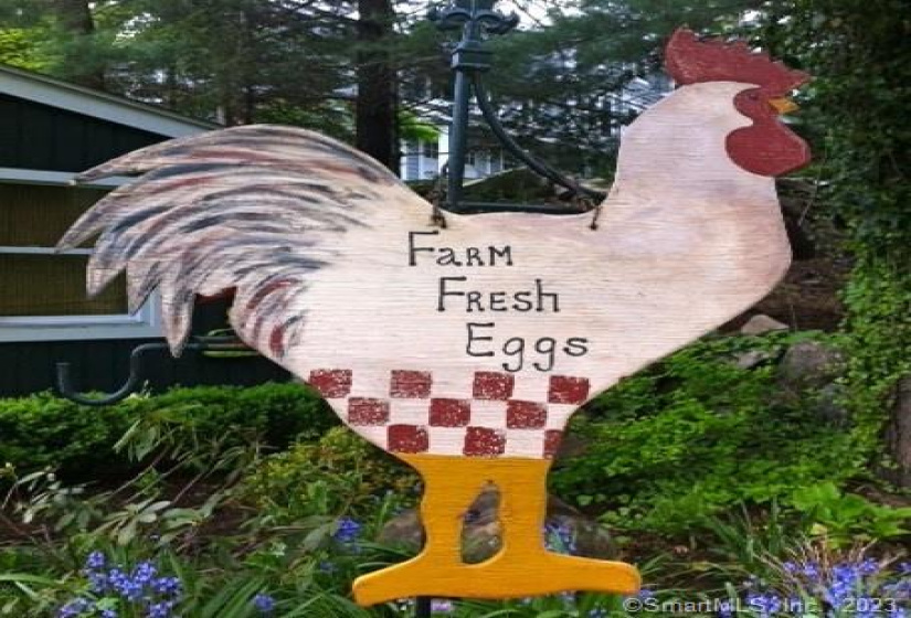 259 Frogtown Road, New Canaan, Connecticut 06840, ,Commercial For Sale,For Sale,Frogtown,170553192