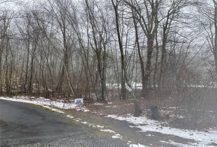 295 Boston Post Road, Old Lyme, Connecticut 06371, ,Lots And Land For Sale,For Sale,Boston Post,170552342