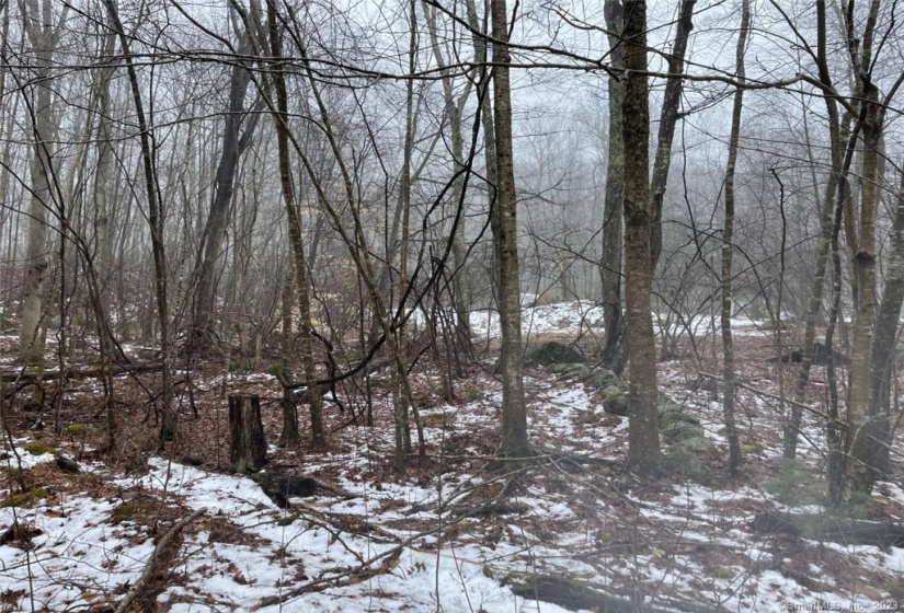 295 Boston Post Road, Old Lyme, Connecticut 06371, ,Lots And Land For Sale,For Sale,Boston Post,170552342