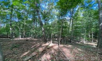 0 School House Lane, Haddam, Connecticut 06438, ,Lots And Land For Sale,For Sale,School House,170555962