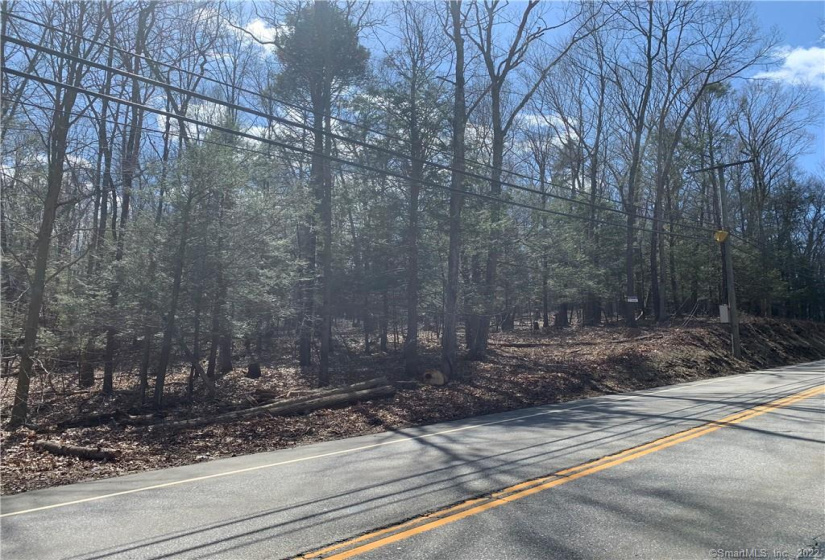 292 Tolland Turnpike, Willington, Connecticut 06279, ,Lots And Land For Sale,For Sale,Tolland,170472777