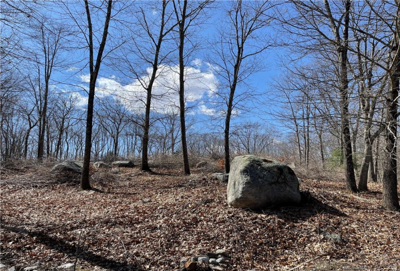 116 Knapp Street, Easton, Connecticut 06612, ,Lots And Land For Sale,For Sale,Knapp,170475828