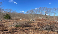 116 Knapp Street, Easton, Connecticut 06612, ,Lots And Land For Sale,For Sale,Knapp,170475828
