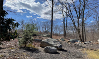 116 Knapp Street, Easton, Connecticut 06612, ,Lots And Land For Sale,For Sale,Knapp,170475828