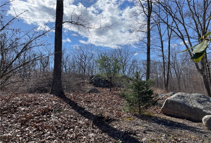 116 Knapp Street, Easton, Connecticut 06612, ,Lots And Land For Sale,For Sale,Knapp,170475828