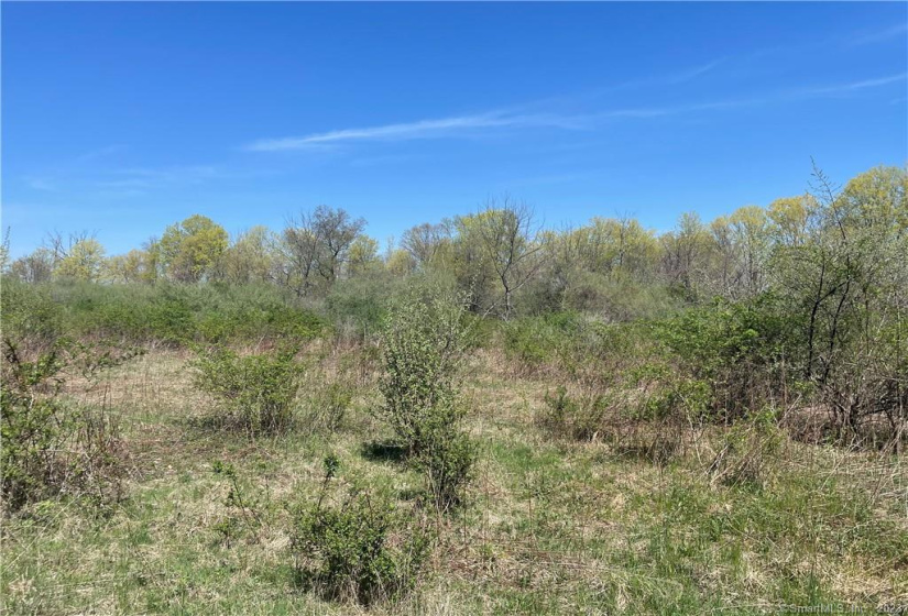 0 Thorson Road, Oxford, Connecticut 06478, ,Lots And Land For Sale,For Sale,Thorson,170564421