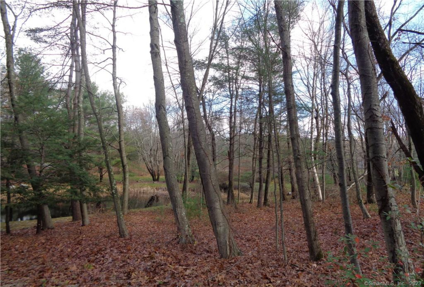 661 & 651 Porter Street, Manchester, Connecticut 06040, ,Lots And Land For Sale,For Sale,Porter,170567028