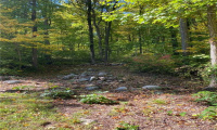Lot 2 Bethany Mountain Rd, Cheshire, Connecticut 06410, ,Lots And Land For Sale,For Sale,Bethany Mountain Rd,170569636