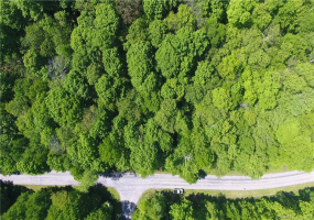 71 Gorham Road, Kent, Connecticut 06757, ,Lots And Land For Sale,For Sale,Gorham,170299547