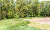 672 Roode Road, Griswold, Connecticut 06351, ,Lots And Land For Sale,For Sale,Roode,170570877