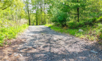 672 Roode Road, Griswold, Connecticut 06351, ,Lots And Land For Sale,For Sale,Roode,170570877