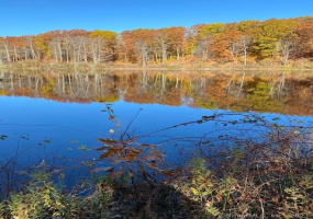 0 Reservoir Rd and Pie Hill Rd Road, Goshen, Connecticut 06756, ,Lots And Land For Sale,For Sale,Reservoir Rd and Pie Hill Rd,170199899