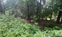 713R Pine Rock Avenue, Hamden, Connecticut 06514, ,Lots And Land For Sale,For Sale,Pine Rock,170577257