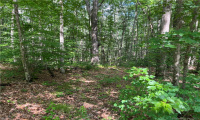 103-5 Ryan Terrace, Lebanon, Connecticut 06249, ,Lots And Land For Sale,For Sale,Ryan,170578179