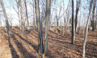 170-182 Leetes Island Road, Branford, Connecticut 06405, ,Lots And Land For Sale,For Sale,Leetes Island,170428463