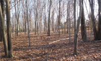 170-182 Leetes Island Road, Branford, Connecticut 06405, ,Lots And Land For Sale,For Sale,Leetes Island,170428463