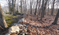 170-182 Leetes Island Road, Branford, Connecticut 06405, ,Lots And Land For Sale,For Sale,Leetes Island,170428463