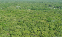 100 Middle Road, Preston, Connecticut 06365, ,Lots And Land For Sale,For Sale,Middle,170366016