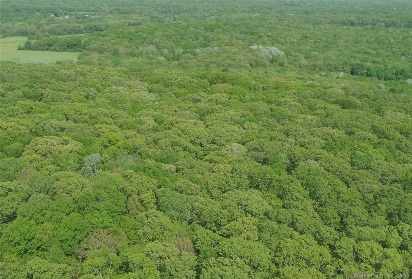 100 Middle Road, Preston, Connecticut 06365, ,Lots And Land For Sale,For Sale,Middle,170366016