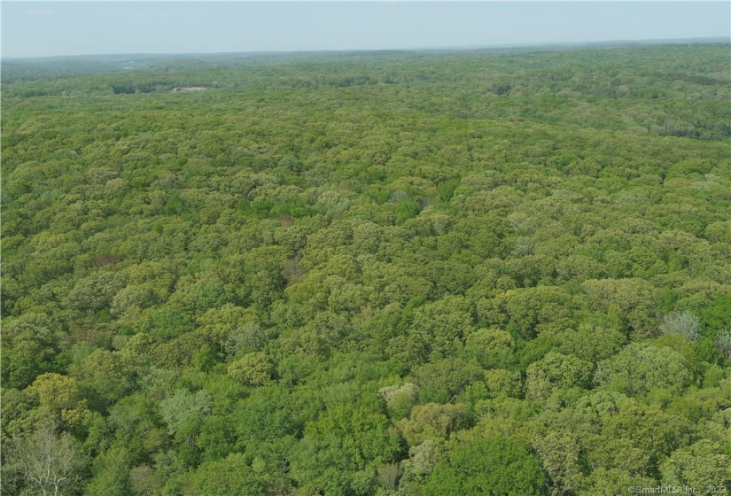 100 Middle Road, Preston, Connecticut 06365, ,Lots And Land For Sale,For Sale,Middle,170366016