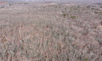 100 Middle Road, Preston, Connecticut 06365, ,Lots And Land For Sale,For Sale,Middle,170366016