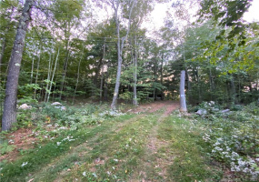 19 Potter Road, Stafford, Connecticut 06076, ,Lots And Land For Sale,For Sale,Potter,170447836